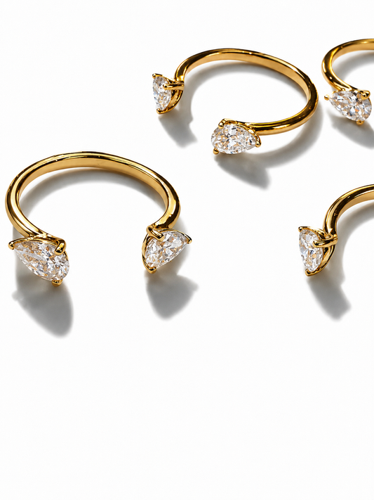 CHAPTER RING